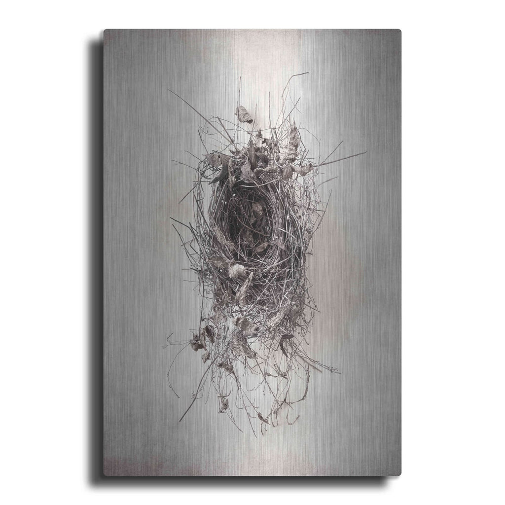 'Nest II' by Debra Van Swearingen – Metal Wall Art