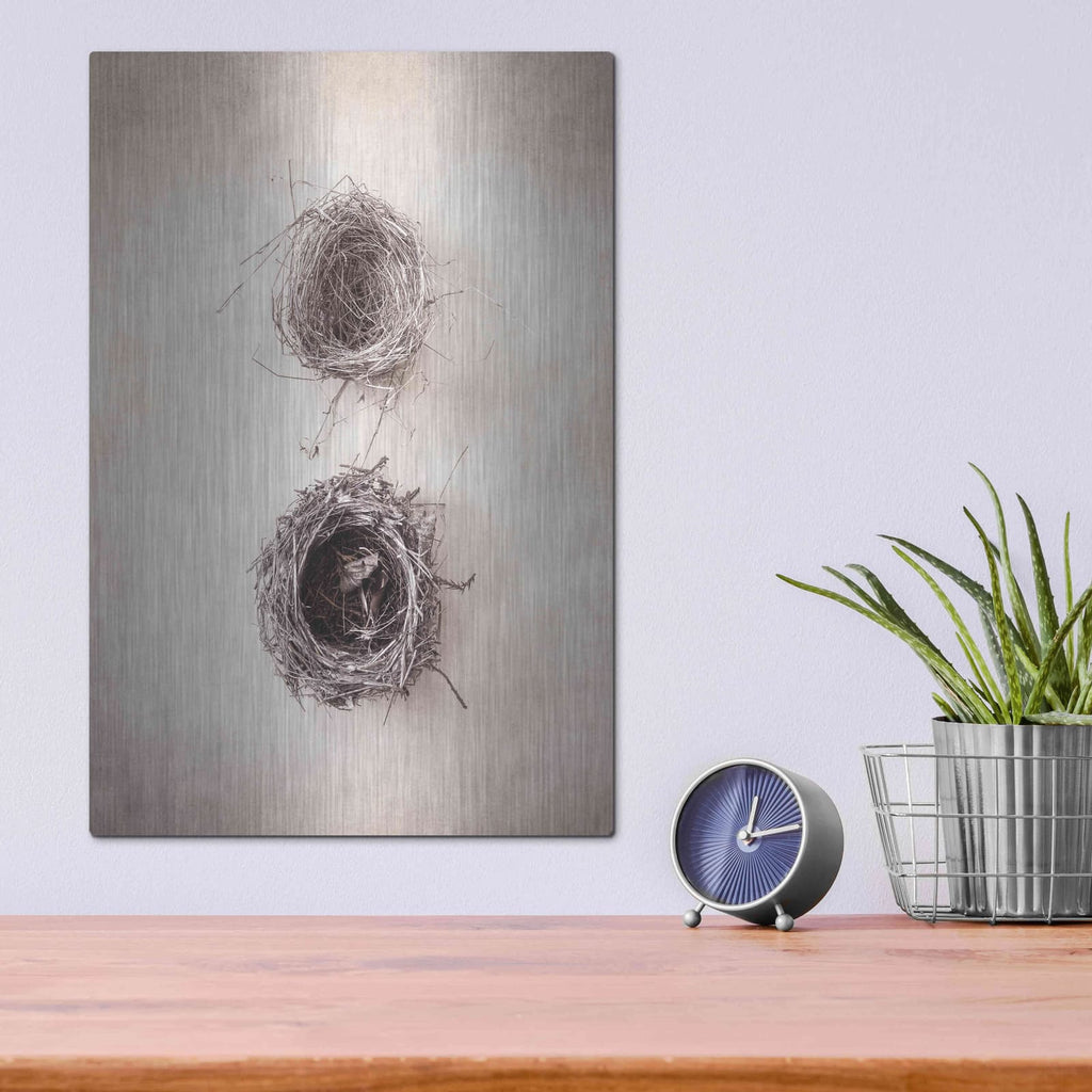 'Nest IV' by Debra Van Swearingen – Metal Wall Art, 12x16 room view