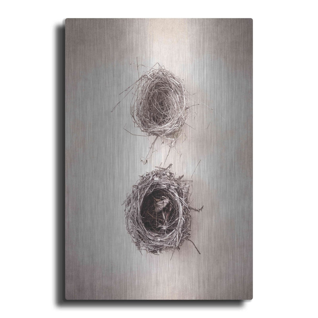 'Nest IV' by Debra Van Swearingen – Metal Wall Art