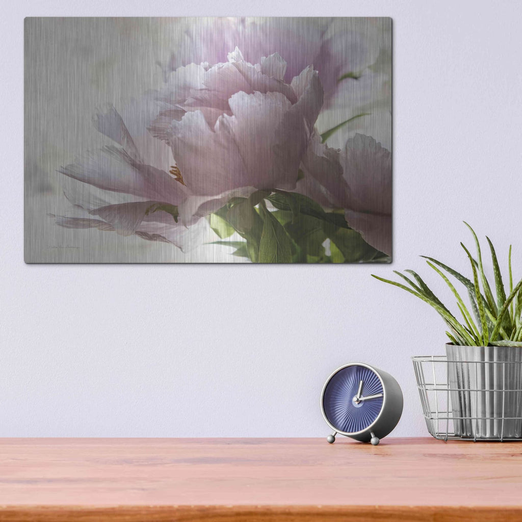 'Translucent Peony I' by Debra Van Swearingen – Metal Wall Art, 16x12 room view