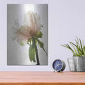 'Translucent Peony VIII' by Debra Van Swearingen – Metal Wall Art, 12x16 room view