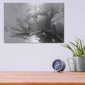 'Translucent Peony IBW' by Debra Van Swearingen – Metal Wall Art, 16x12 room view