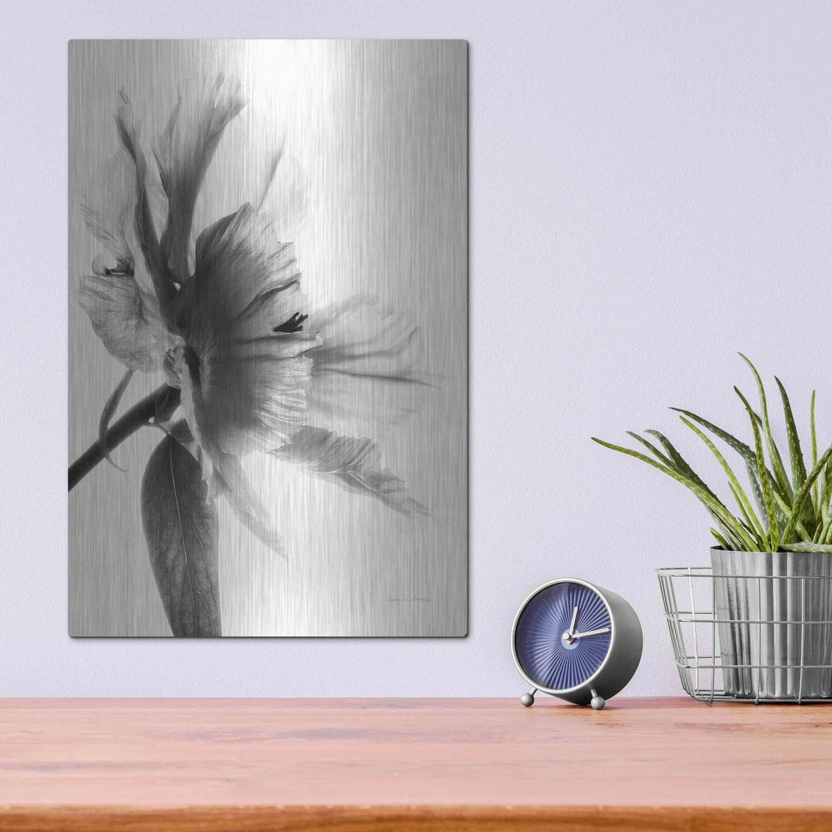 'Translucent Peony IIBW' by Debra Van Swearingen – Metal Wall Art, 12x16 room view