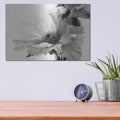 'Translucent Peony VBW' by Debra Van Swearingen – Metal Wall Art, 16x12 room view