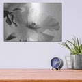 'Translucent Peony VIBW' by Debra Van Swearingen – Metal Wall Art, 16x12 room view