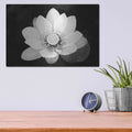 'Lotus Flower II v2' by Debra Van Swearingen – Metal Wall Art, 16x12 room view