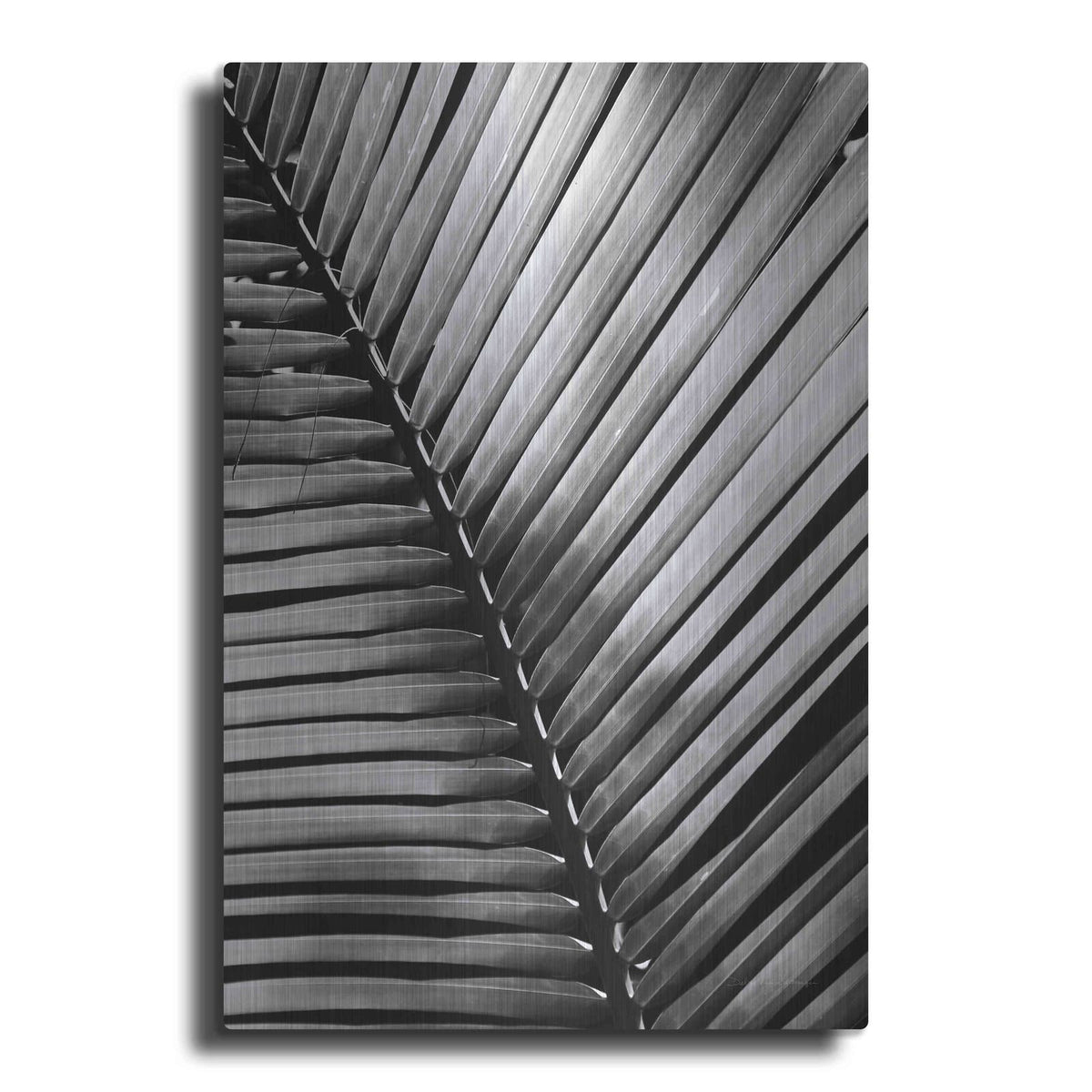 'Palm Frond I' by Debra Van Swearingen – Metal Wall Art