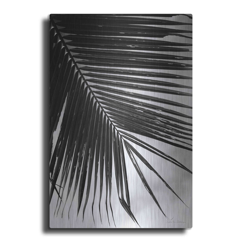 'Palm Frond II' by Debra Van Swearingen – Metal Wall Art