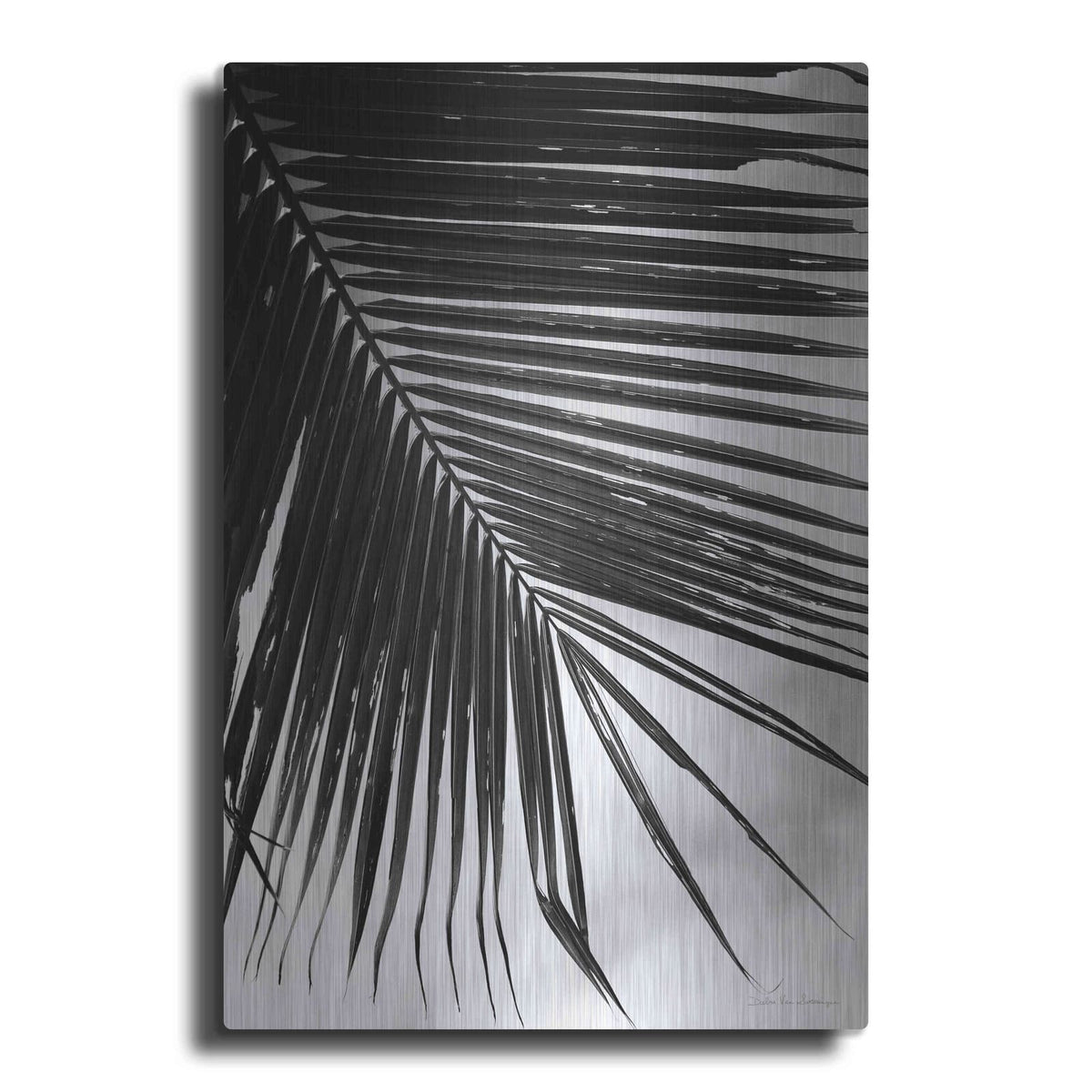 'Palm Frond II' by Debra Van Swearingen – Metal Wall Art