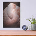 'Chilean Flamingo I' by Debra Van Swearingen – Metal Wall Art, 12x16 room view