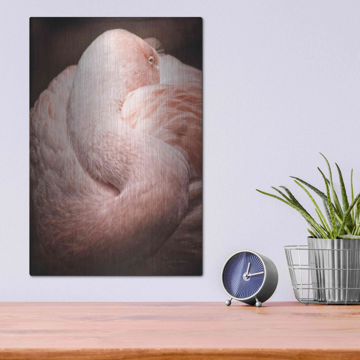 'Chilean Flamingo I' by Debra Van Swearingen – Metal Wall Art, 12x16 room view