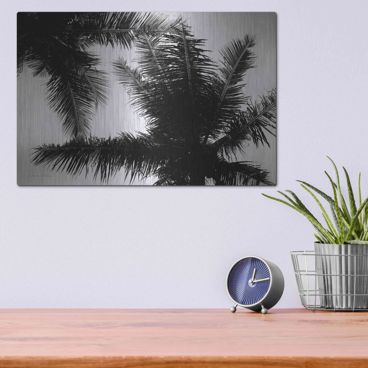 'Palm Tree Looking Up I' by Debra Van Swearingen – Metal Wall Art, 16x12 room view