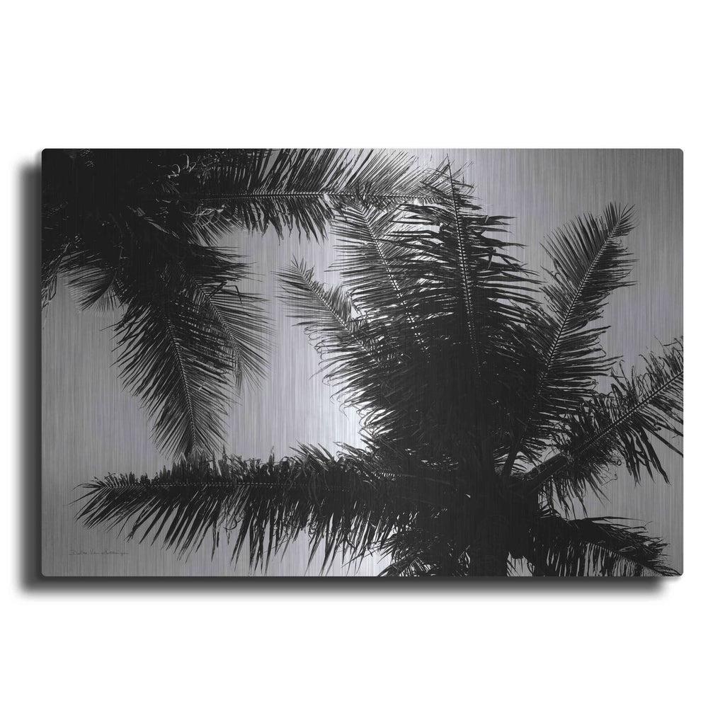 'Palm Tree Looking Up I' by Debra Van Swearingen – Metal Wall Art
