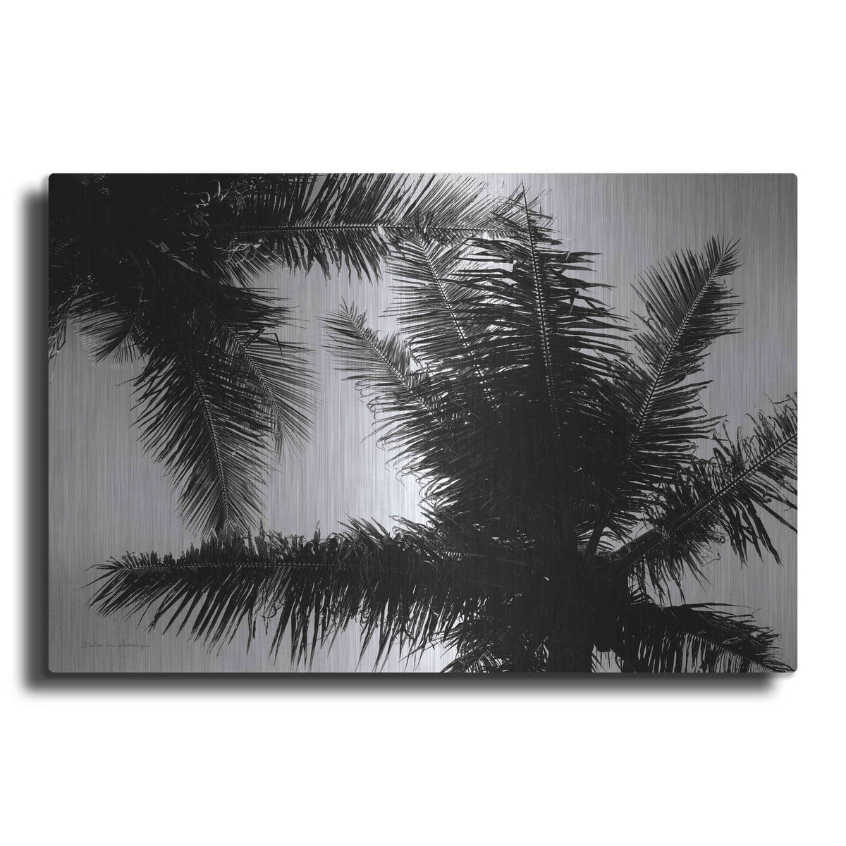'Palm Tree Looking Up I' by Debra Van Swearingen – Metal Wall Art