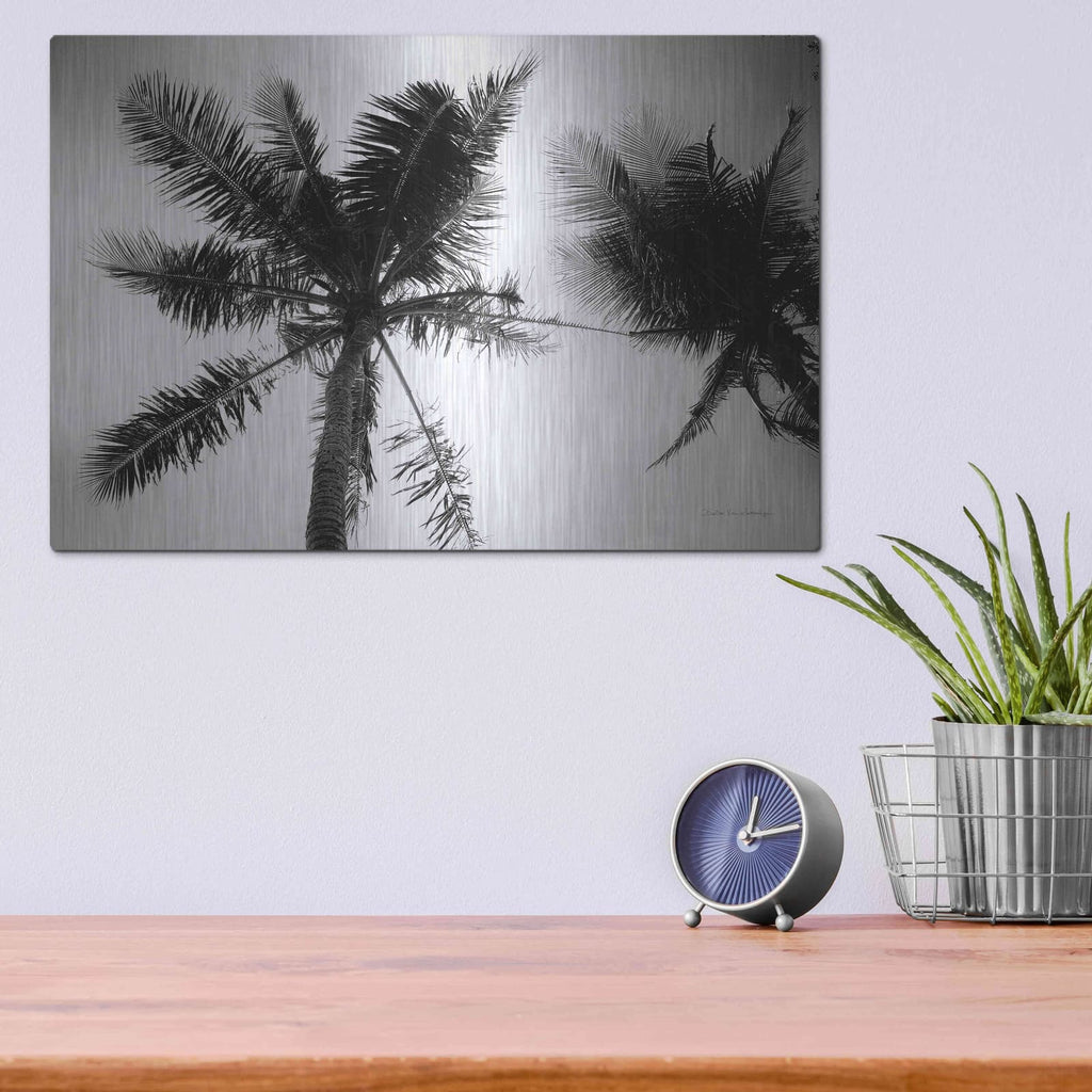 'Palm Tree Looking Up II' by Debra Van Swearingen – Metal Wall Art, 16x12 room view