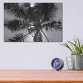 'Palm Tree Looking Up III' by Debra Van Swearingen – Metal Wall Art, 16x12 room view