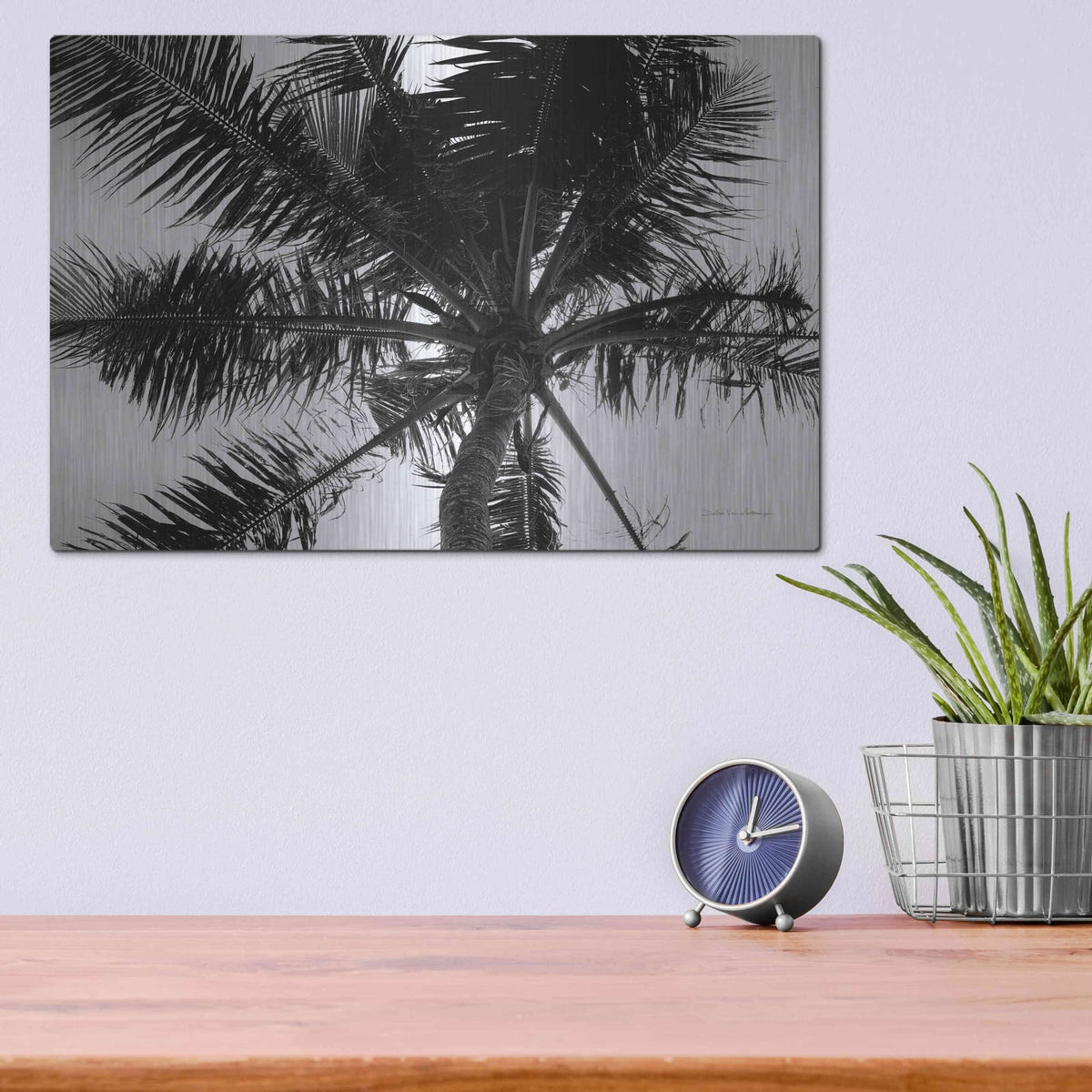 'Palm Tree Looking Up III' by Debra Van Swearingen – Metal Wall Art, 16x12 room view