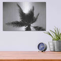 'Palm Tree Looking Up IV' by Debra Van Swearingen – Metal Wall Art, 16x12 room view