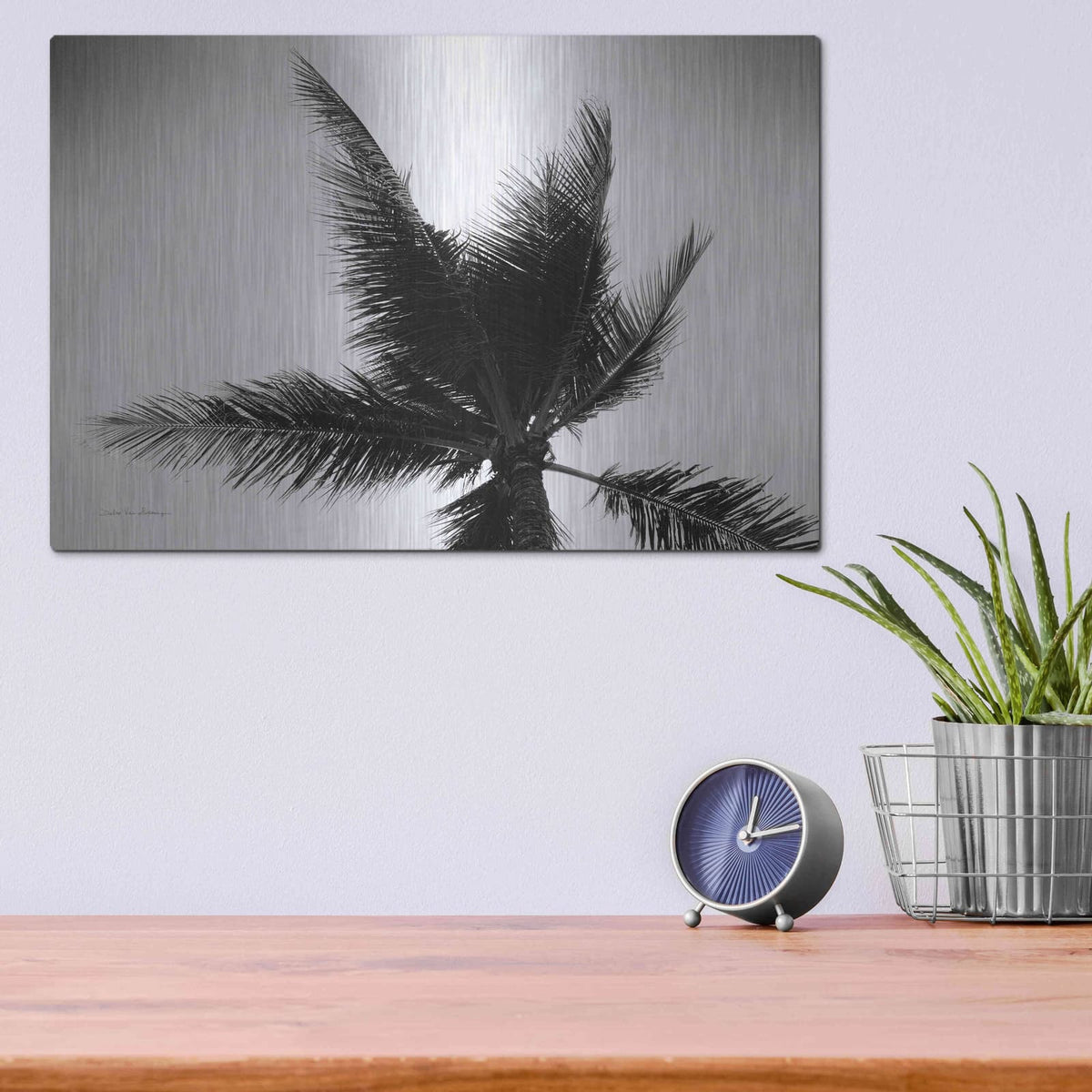 'Palm Tree Looking Up IV' by Debra Van Swearingen – Metal Wall Art, 16x12 room view