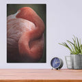 'Caribbean Flamingo I' by Debra Van Swearingen – Metal Wall Art, 12x16 room view