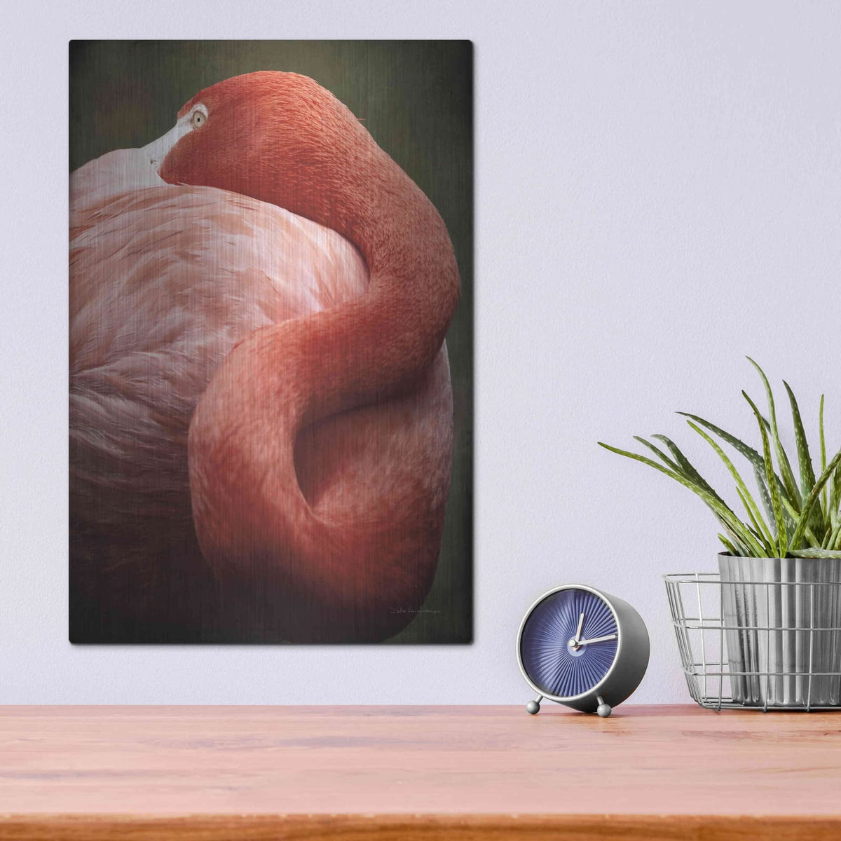 'Caribbean Flamingo I' by Debra Van Swearingen – Metal Wall Art, 12x16 room view