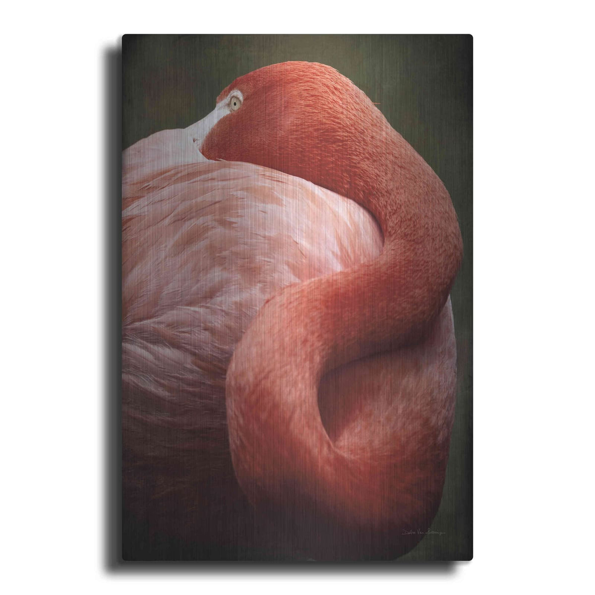 'Caribbean Flamingo I' by Debra Van Swearingen – Metal Wall Art