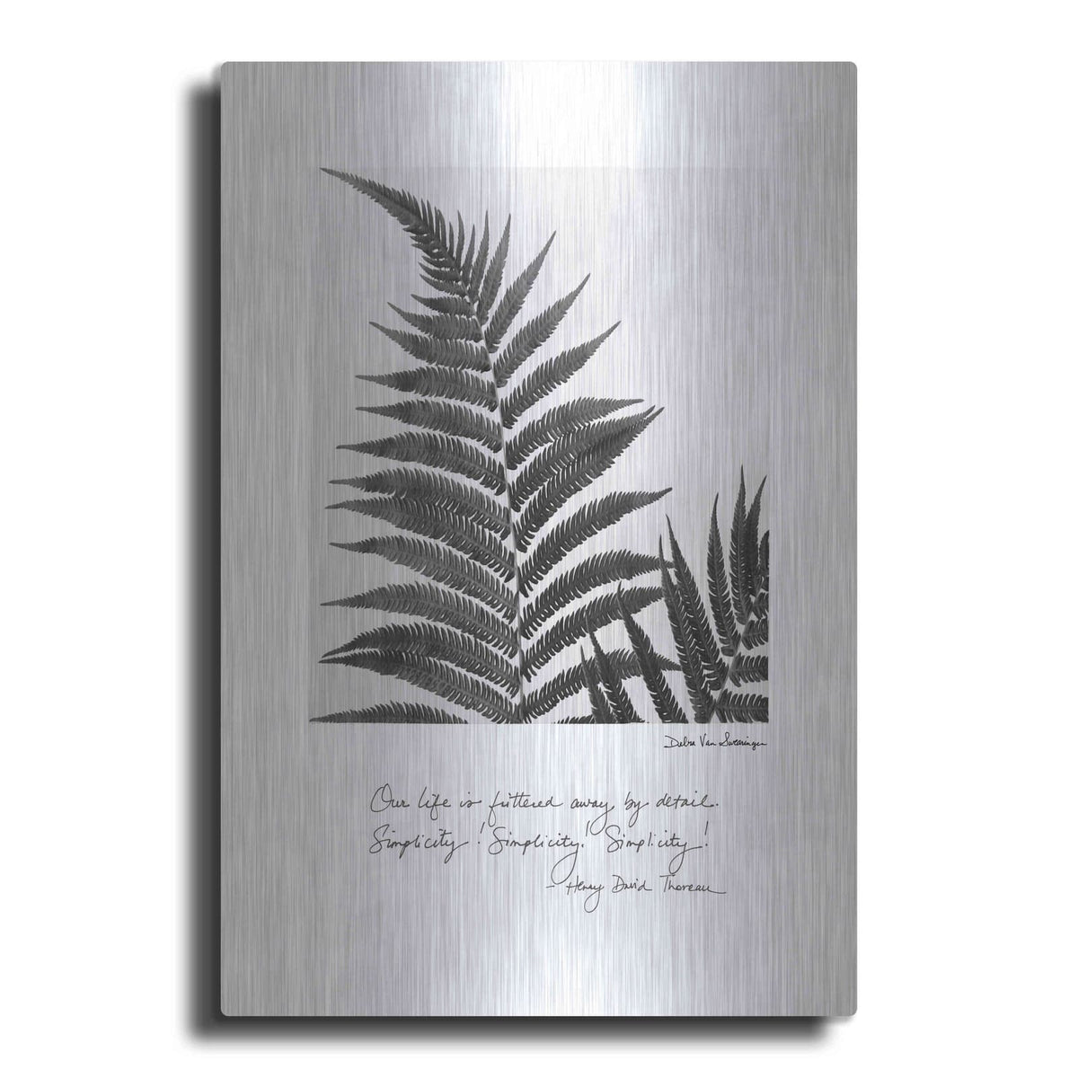'Delicate Fern v2' by Debra Van Swearingen – Metal Wall Art