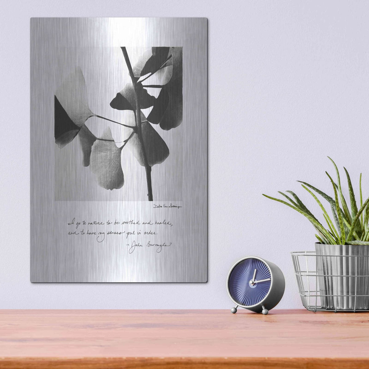 'Delicate Ginkgo v2' by Debra Van Swearingen – Metal Wall Art, 12x16 room view