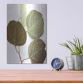 'Eucalyptus Color on White' by Debra Van Swearingen – Metal Wall Art, 12x16 room view