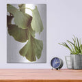 'Ginko Color on White' by Debra Van Swearingen – Metal Wall Art, 12x16 room view