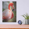 'Flamingo I' by Debra Van Swearingen – Metal Wall Art, 12x16 room view