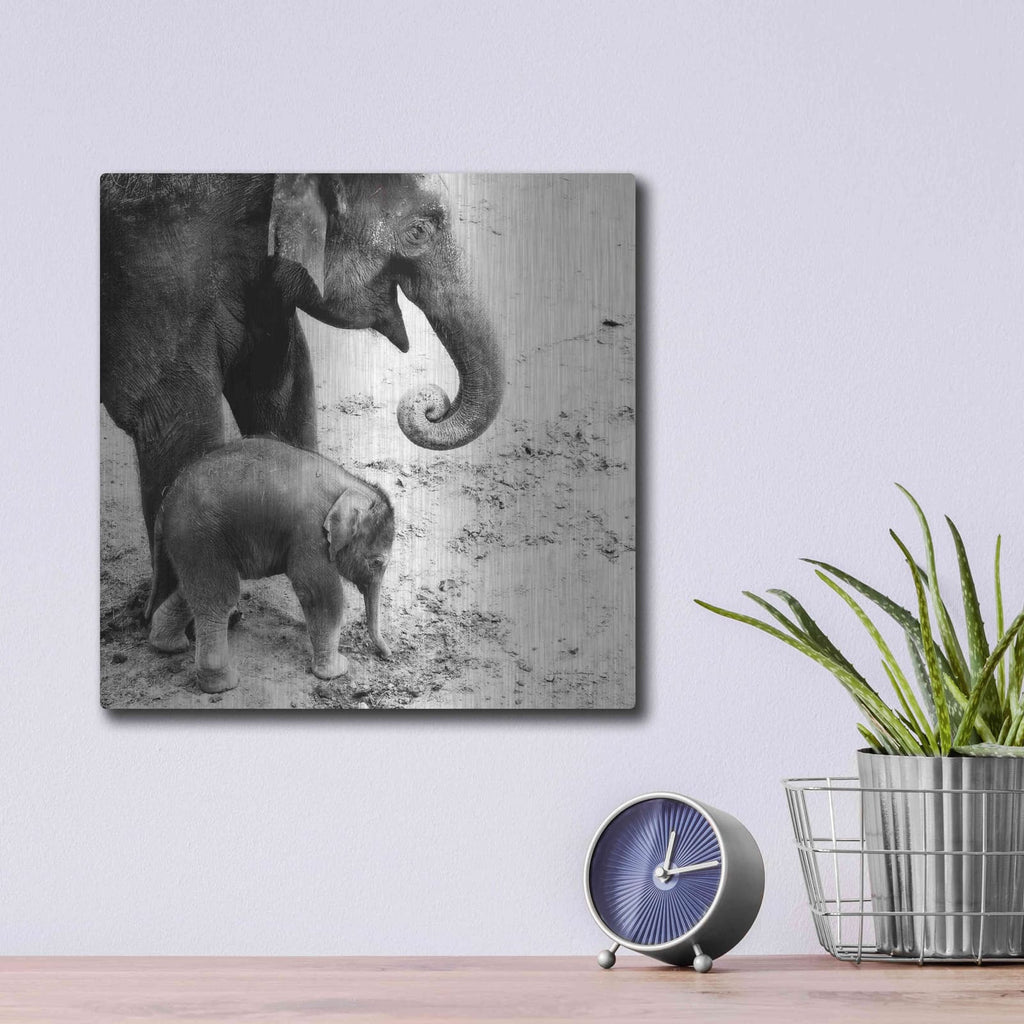 'Mother and Daughter' by Debra Van Swearingen – Metal Wall Art, 12x12 room view