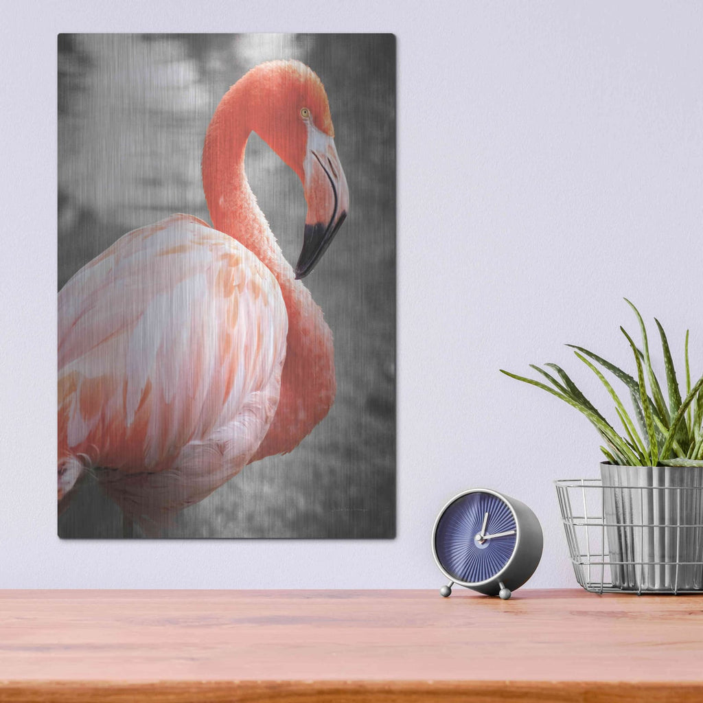 'Flamingo I on BW' by Debra Van Swearingen – Metal Wall Art, 12x16 room view