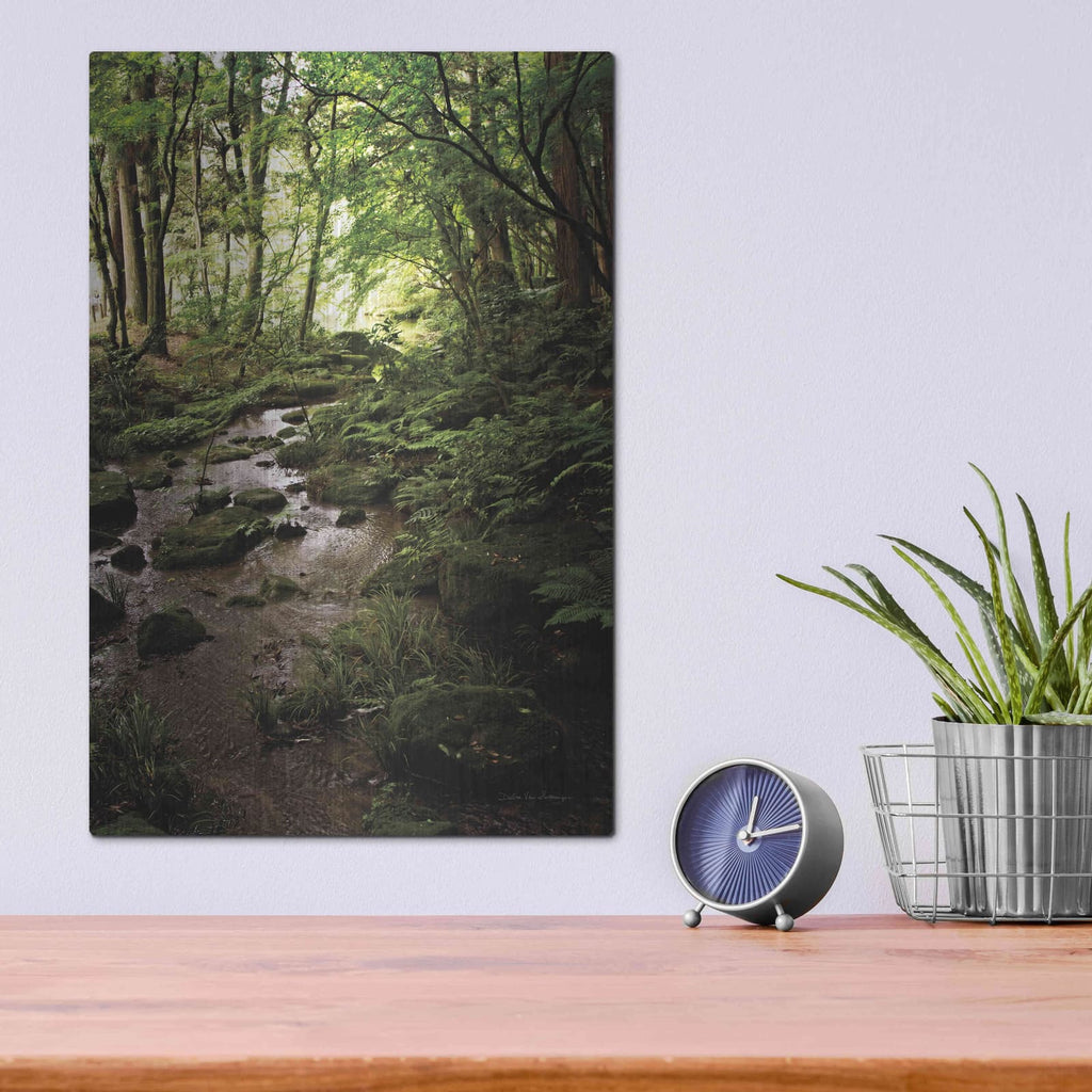 'Lush Creek in Forest' by Debra Van Swearingen – Metal Wall Art, 12x16 room view