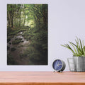 'Lush Creek in Forest' by Debra Van Swearingen – Metal Wall Art, 12x16 room view