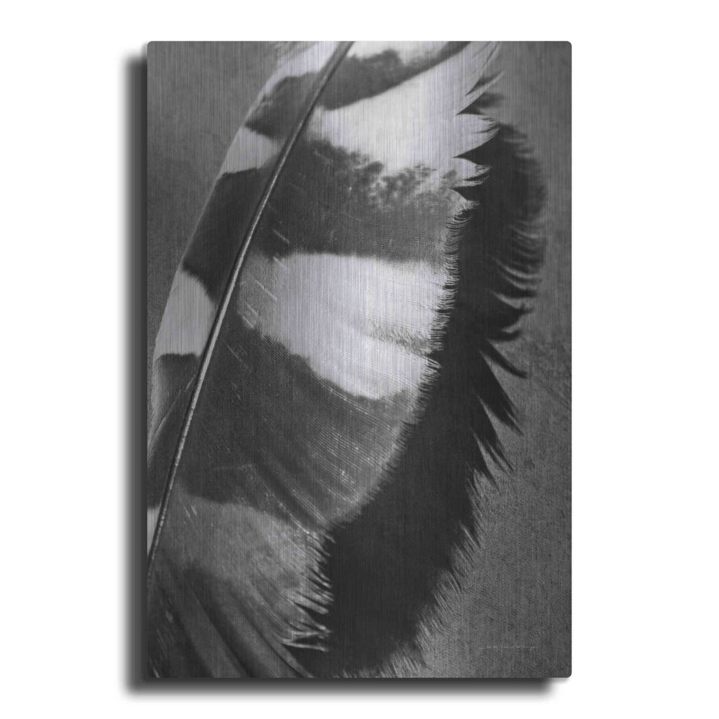 'Feather Shadow I' by Debra Van Swearingen – Metal Wall Art