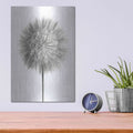 'Dandelion Fluff on White' by Debra Van Swearingen – Metal Wall Art, 12x16 room view
