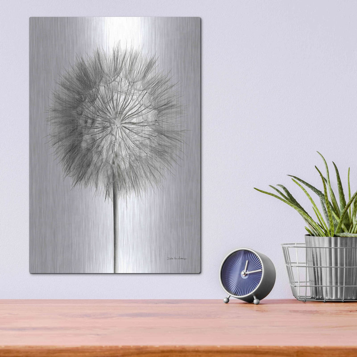 'Dandelion Fluff on White' by Debra Van Swearingen – Metal Wall Art, 12x16 room view