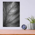 'Elephant Ear II' by Debra Van Swearingen – Metal Wall Art, 12x16 room view