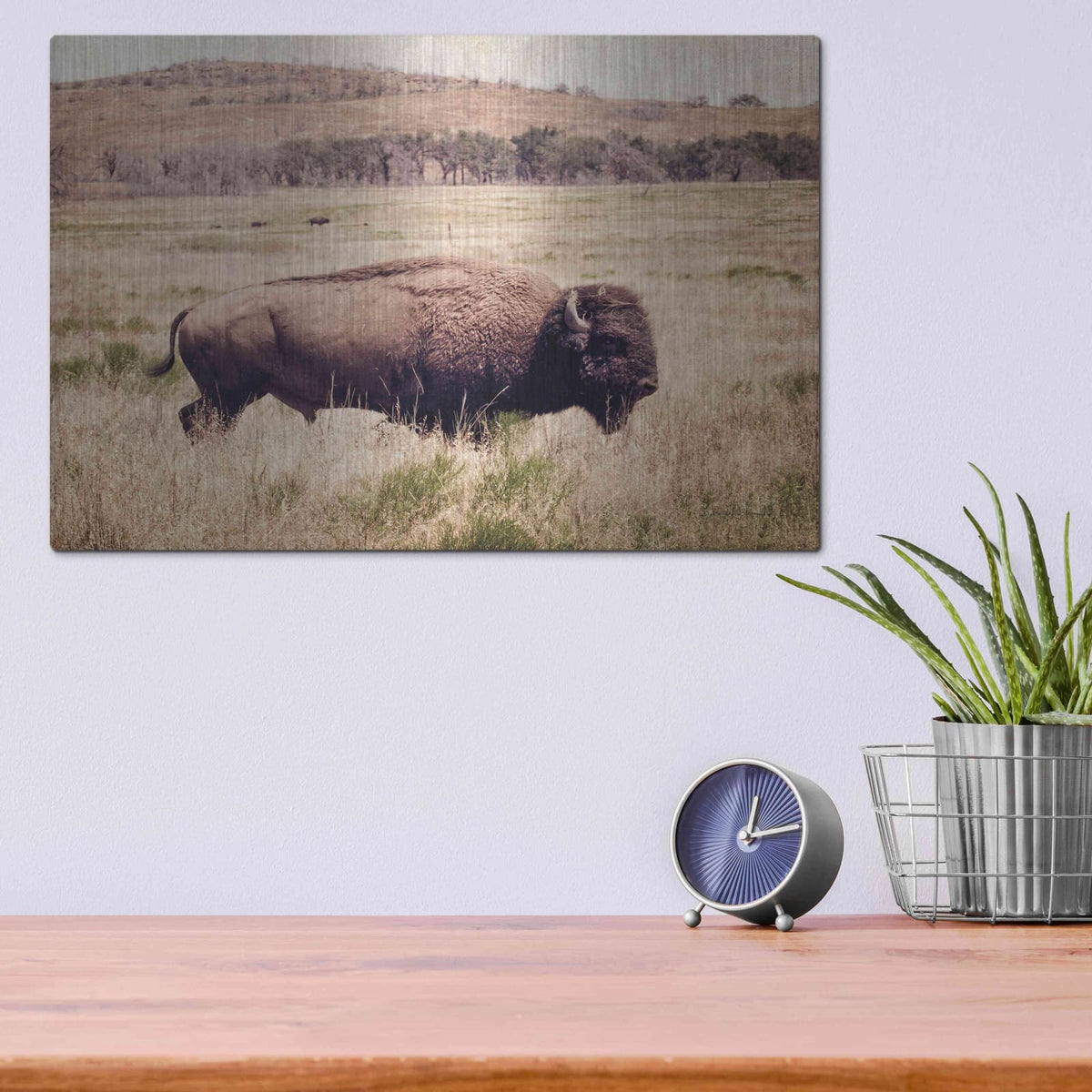 'Buffalo I' by Debra Van Swearingen – Metal Wall Art, 16x12 room view