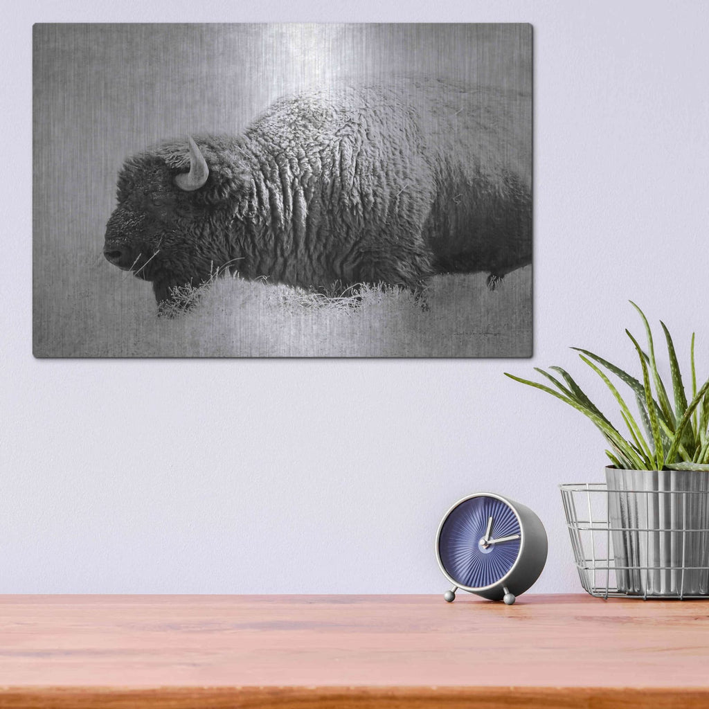 'Buffalo II BW' by Debra Van Swearingen – Metal Wall Art, 16x12 room view