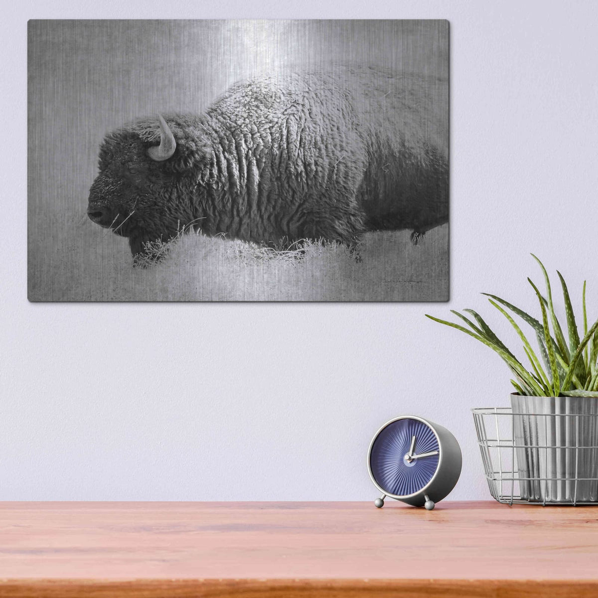 'Buffalo II BW' by Debra Van Swearingen – Metal Wall Art, 16x12 room view