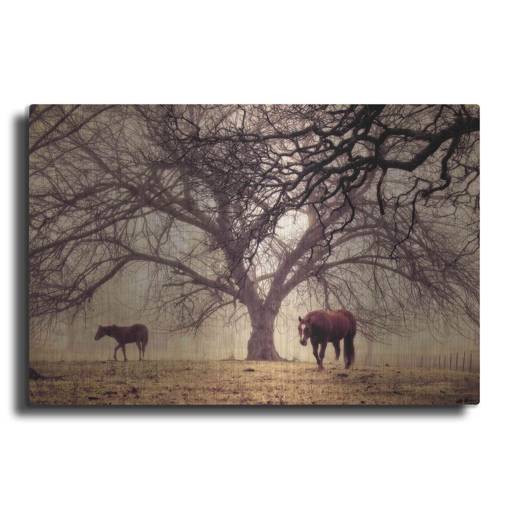 'Morning Calm II' by Debra Van Swearingen – Metal Wall Art