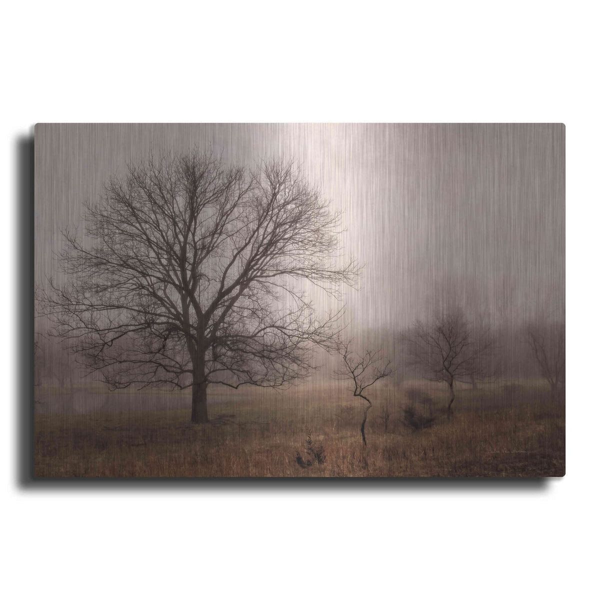 'Morning Calm IV' by Debra Van Swearingen – Metal Wall Art
