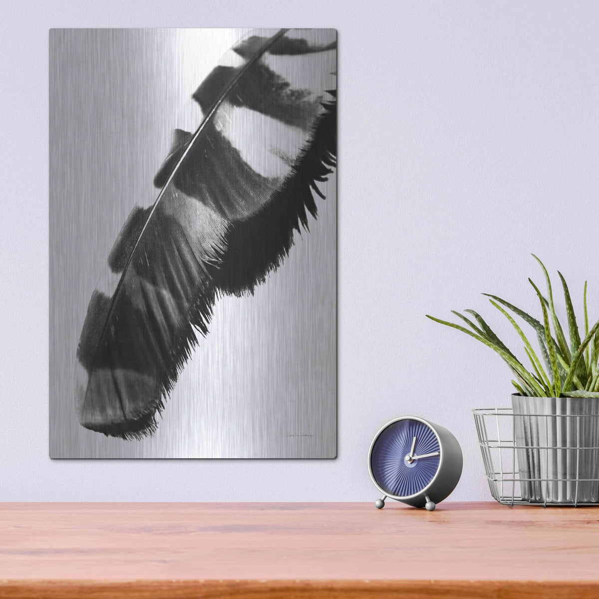 'Feather Shadow II White' by Debra Van Swearingen – Metal Wall Art, 12x16 room view