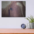 'Dew Lashes' by Debra Van Swearingen – Metal Wall Art, 16x12 room view