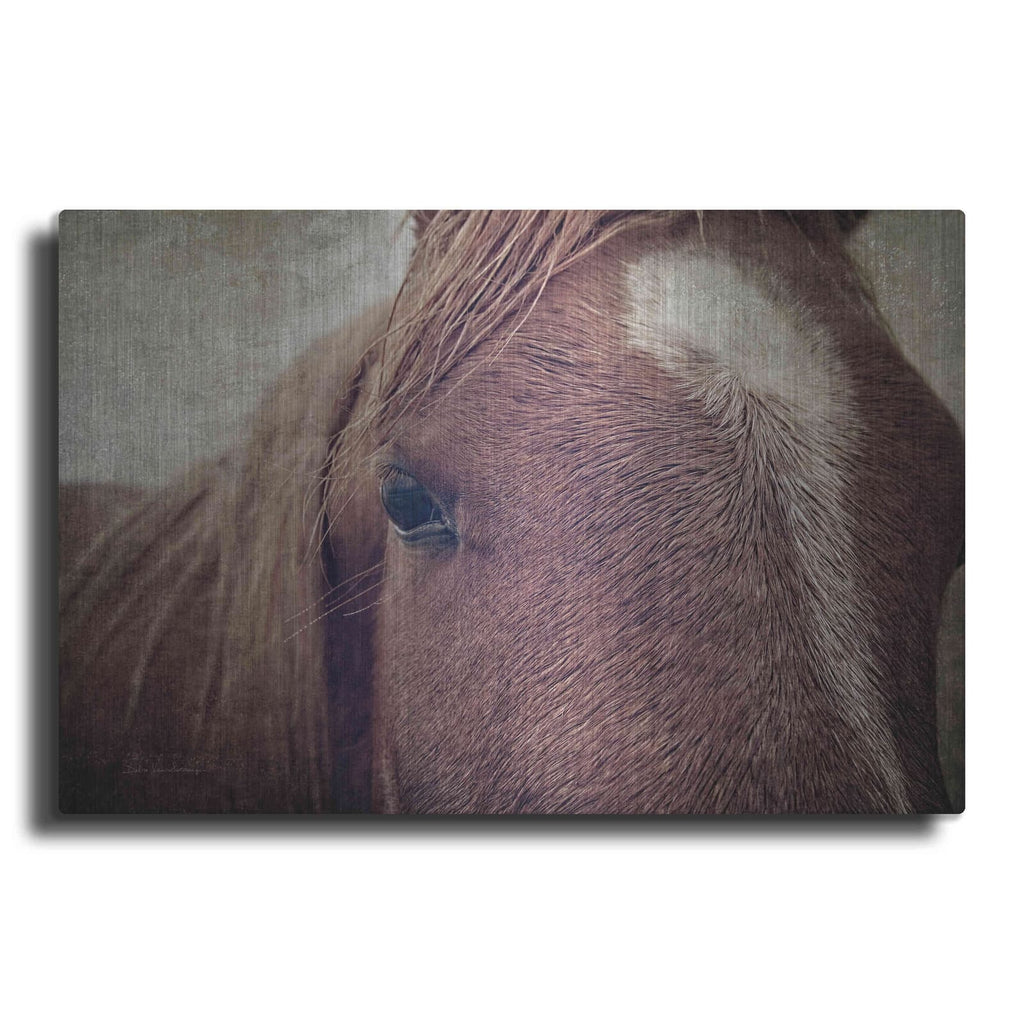 'Dew Lashes' by Debra Van Swearingen – Metal Wall Art