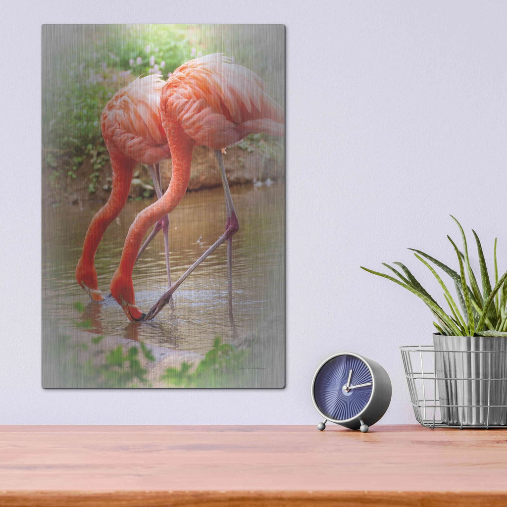 'Two Flamingos' by Debra Van Swearingen – Metal Wall Art, 12x16 room view