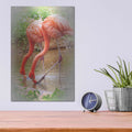 'Two Flamingos' by Debra Van Swearingen – Metal Wall Art, 12x16 room view