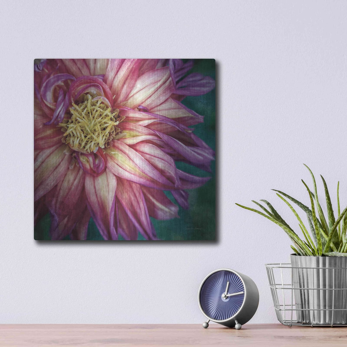 'Dahlia I' by Debra Van Swearingen – Metal Wall Art, 12x12 room view